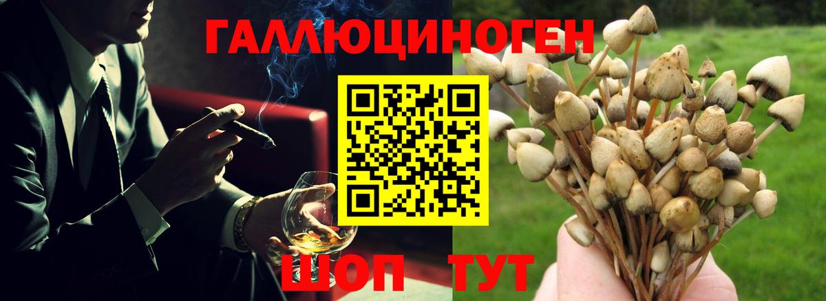 Заинск  Псилоцибиновые грибы Magic Shrooms  Вход с VPN  Псилоцибиновые грибы MAGIC MUSHROOMS 